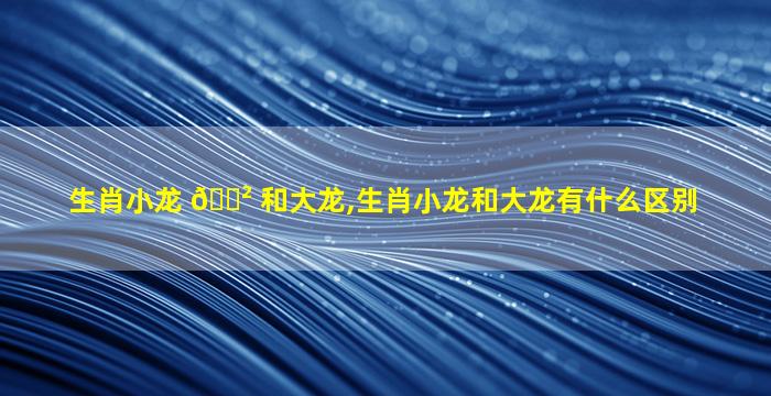 生肖小龙 🌲 和大龙,生肖小龙和大龙有什么区别